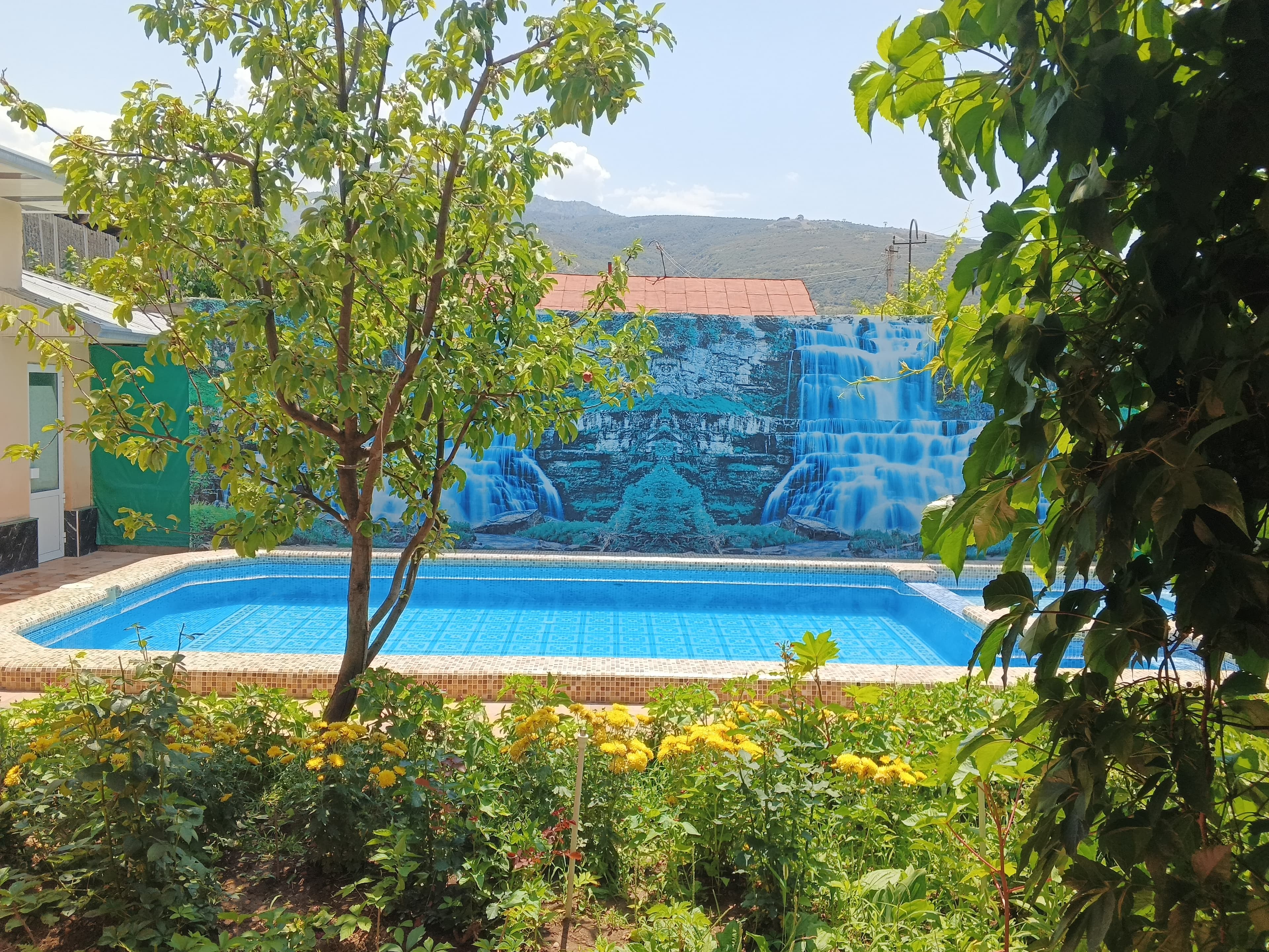 DACHA SHINAM 5