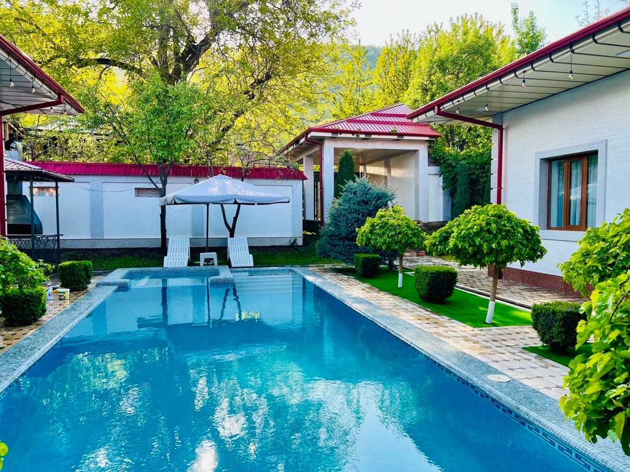 Dacha PREMIUM 5