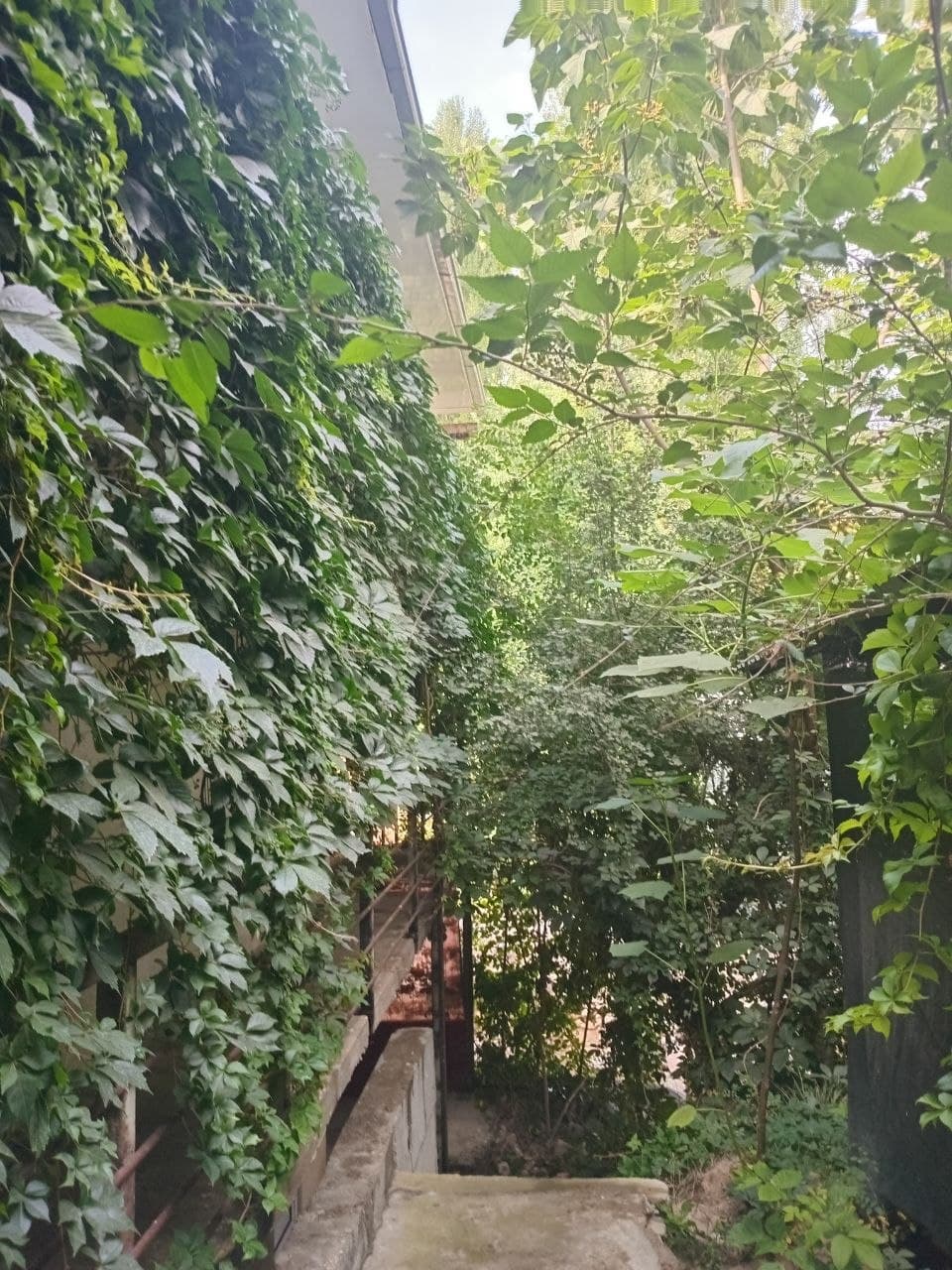 Majnuntol 2